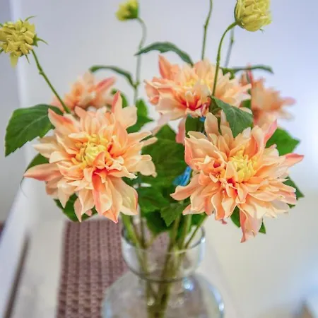 Lovely 3br With 2 Private Balcony & Sofa Bed By 360 Estates Appartement